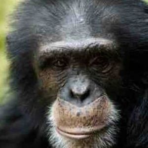 Meet your Posher, Bobby